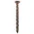 2 00 WOOD SCREWS T.S.P. BRONZ. 6X70 
2 00 WOOD SCREWS T.S.P. BRONZ. 6X70
