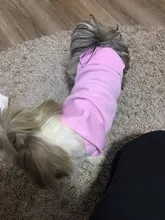 Cat Dog Hoodie Jacket Pet-Apparel Puppy-Chihuahau Pug Pure-Design New Autumn Perro Ropa