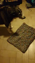 Alfombra suave de franela para perros y gatos, estera cálida y gruesa para cachorro