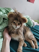 Disfraz de gatos melena de León para gato, peluca de pelo de León, gorro, disfraces de perros pequeños, Disfraces de Halloween para Navidad y Mascotas