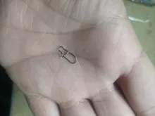 Broches de pesca de acero inoxidable, Clips de cierre, accesorios de conector de seguridad, aparejos para señuelos, ganchos, 500 Uds.