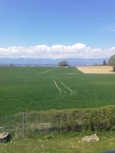 APEXEL-prismáticos HD de gran potencia, minitelescopio telescópico de 114m/1000m para senderismo, caza y avistamiento de aves, 10x25, BAK4