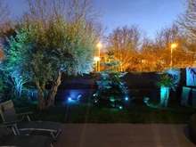 Spotlight Separately-Lamp Solar-Panel Garden-Tree Landscape Yard Warm T-SUNRISE 2 White