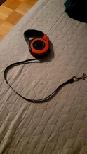 Correa retráctil automática y Flexible para perros y gatos pequeños, correa de tracción para caminar
