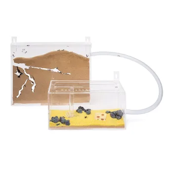 Ant Farm Wall Kit BIG with free Ants and Queen - Educational formicarium for LIVE ants
Ant Farm Wall Kit BIG with free Ants and Queen - Educational formicarium for LIVE ants