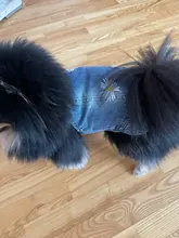 Chaleco vaquero de primavera para perros pequeños, ropa de Tzu para perros Yorkshire Terrier, ropa estilo vaquero para cachorros, chaqueta para Chihuahua, ropa para gatos