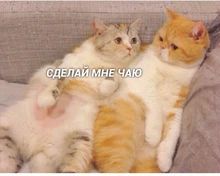 Gancho de pared de acero inoxidable, autoadhesivo, para cocina, baño, baño, bola, bolsa para llave, percha de almacenamiento, soporte para colgar