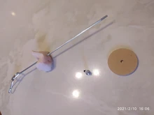 Soporte de acero inoxidable para soporte de loro mascota comida de pájaros, palo de lanza para frutas, pincho para carne, alimentador de aves