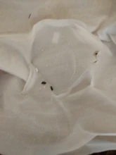 Furnace Fireplace Blower Fan Motor High Temperature Resistance 220V 2000rpm Fan