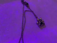 Collar personalizado con foto de Mascota para hombre y mujer, colgante de pata de perro, dije para chicas, Gargantilla, regalo de joyería de cumpleaños