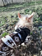 Dog Cat Harness Reflective Vest Pet Chest Strap Mesh Breathable Dog Harness And Walking