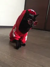 Suéter con capucha Para gato, Ropa cálida Para mascotas, Para gatos, Sphinx, satten, Ropa Para gatos, Kedi, Giyim, productos Para mascotas