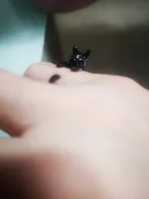 Anillo ajustable para gato, anillos de animales, joyería para hombre y mujer