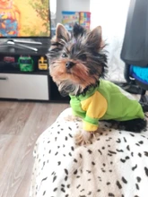 Abrigo con capucha para perro mascota de dibujos animados, ropa de invierno para perros pequeños, gatos, cachorros, Chihuahua, Yorkies, sudadera para perros y Mascotas