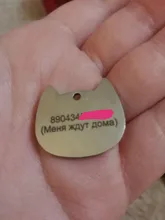 Placas de identificación personalizadas para perros, placas de identificación de Metal para cachorros, placas de identificación antipérdida para perros, gatos Pitbull, tarifa de grabado incluida accesorios para perros
