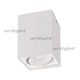 023079 downlight sp-cubus-s100x100wh-11w White 40deg-1 PCs Arlight 
023079 downlight sp-cubus-s100x100wh-11w White 40deg-1 PCs Arlight