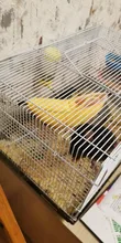 Hammock Rat House Hamster-Accessories Hanging Banana-Shape Warm Nest Tree-Beds Novelty