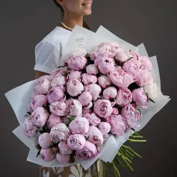 Розовые пионы Sarah Bernhardt (51 шт)
Розовые пионы Sarah Bernhardt (51 шт)