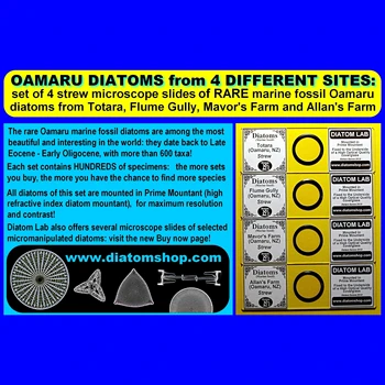 RARE DIATOMS from OAMARU, set of 4 MICROSCOPE SLIDES of strewn diatoms from 4 different Oamaru locations! RARE BEAUTIFUL DIATOMS
RARE DIATOMS from OAMARU, set of 4 MICROSCOPE SLIDES of strewn diatoms from 4 different Oamaru locations! RARE BEAUTIFUL DIATOMS