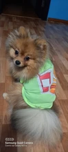 Ropa para Perro barata, adorable chaleco para Perro, camiseta para mascotas, disfraz para perros, Ropa de algodón para cachorros, trajes para perros pequeños