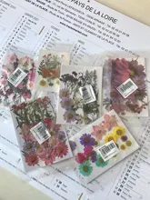 1 paquete Real secada de La Flor seca de las plantas para bricolaje molde Molde de resina rellenos de resina colgante collar joyería de uñas de arte UV Expoxy flor