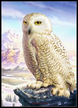 Embroidery Counted Cross Stitch Kits Needlework - Crafts 14 ct DMC DIY Arts Handmade Decor - Barn Owl
Embroidery Counted Cross Stitch Kits Needlework - Crafts 14 ct DMC DIY Arts Handmade Decor - Barn Owl