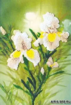 B-608 set for embroidery with beads charivna mite 'milk irisy' 33,5*22,5 cm
B-608 set for embroidery with beads charivna mite 'milk irisy' 33,5*22,5 cm