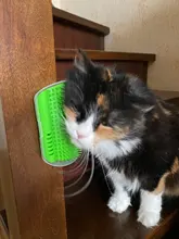 Peine de masaje para gatos, rascador automático, cepillo de esquina de pared, cerdas para rascar, arco de juguete para mascotas, herramienta de depilación de plástico