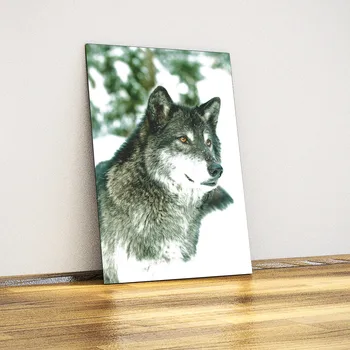 Gray wolf-Decorative Metal Poster
Gray wolf-Decorative Metal Poster