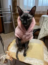 Jacket Clothing Puppy-Clothes Pet-Cat-Costume Dogs Soft-Fleece Chihuahua Winter For Yorkshire