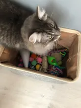 Bins Storage-Box Canvas-Bag Pet-Toys Dog-Accessories Foldable Personalized Linen