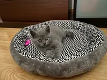 pawstrip Soft Plush Winter Dog Bed Round Cat Bed Warm Puppy Cushion Chihuahua Teddy Small