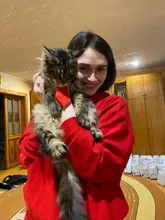 Corbata Formal para perro y gato, esmoquin, Collar de lazo para perro y gato, accesorios para mascotas, traje para perros medianos y pequeños