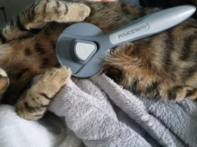 Peine automático para mascotas, cepillo eliminador de pelo Gato, peine para limpieza de belleza de perros, productos para mascotas