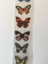 Pegatinas Kawaii de mariposas para mascotas, cinta Washi de 4cm x 35cm, suministros escolares y de oficina, para álbum de recortes, sl2855