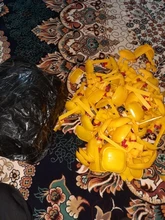 Farming-Equipment Drinkers Water-Bowl Chicken-Hanging Farmtools Models Nipple Pheasant