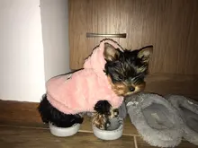 Jacket Clothing Puppy-Clothes Pet-Cat-Costume Dogs Soft-Fleece Chihuahua Winter For Yorkshire