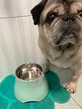 CAWAYI KENNEL Dog Feeder Drinking Bowls for Dogs Cats Pet Food Bowl Comedero Perro Miska