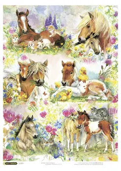 Rice paper for Decoupage "" horses "" craft Premier, A3, 25 g/m cpd0639
Rice paper for Decoupage "" horses "" craft Premier, A3, 25 g/m cpd0639