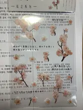 Mohamm-pegatina plana para mascotas, Serie de flores, rosa, cereza, lavanda, decoración, álbum de recortes, regalo, suministros escolares para niña, 1 hoja