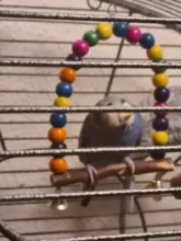Swing-Toy Beads Bird-Supplies Parrots Pets Wooden Perch Hanging Natural for 1PC Colorful