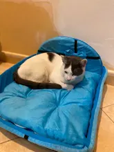 Plush-Cushion Puppy-Mat Pet-Bed Kennel Dogs Small Large Cute Cat Round Tyteps Warm