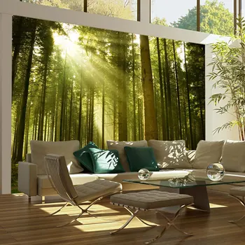 Wall mural-forest pine-250x193 cm
Wall mural-forest pine-250x193 cm