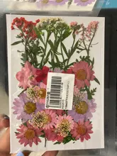 1 paquete Real secada de La Flor seca de las plantas para bricolaje molde Molde de resina rellenos de resina colgante collar joyería de uñas de arte UV Expoxy flor