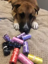 Impresión de patas de Bolsa para popó para perros 15 bolsas/rollo bolsa de desechos para mascotas, bolsas de residuos para gatos, al aire libre para el hogar, recarga de caca de perro, bolsa de desechos para mascotas