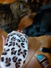 Chaleco de terciopelo para perros pequeños, ropa de invierno para mascotas, camiseta de yorkshire terrier de leopardo, chihuahua