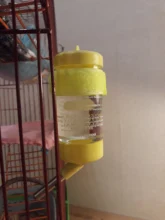 Hamster Bowl Dispenser Fountains Water-Bottle-Holder Hanging Auto-Drinking-Head-Pipe