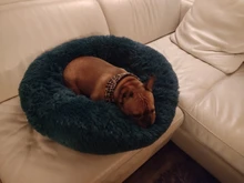 Cama de perro suave juguetes de peluche Donut sátiro ronda perro perrera Ultra lavables suaves perro gato cojín de cama de sofá cálido Venta caliente