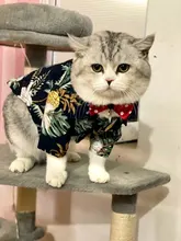 Ropa para perro pequeña y grande, camisa hawaiana de árbol de ananá Coco, Gato Azul para mascotas, suministros de primavera y verano