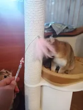 Interactive-Toy-Stick Feather-Wand Cat-Teaser-Toy Cat-Supplies Bell with Gorgeous Quality